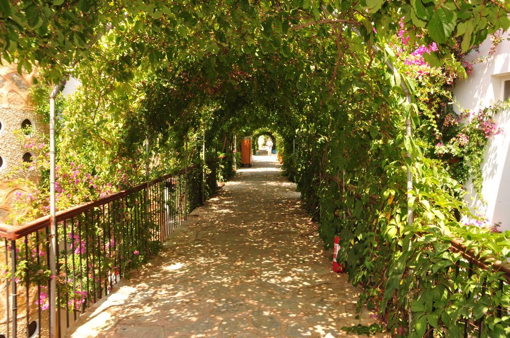Siesta Beach Apartment Bodrum Esterno foto