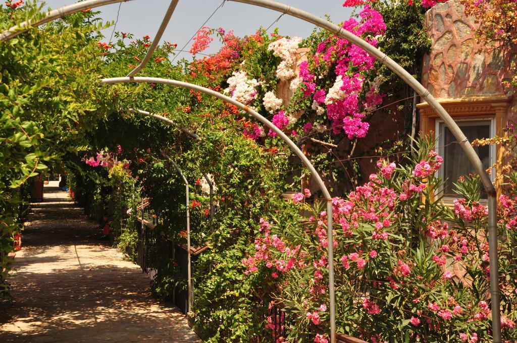 Siesta Beach Apartment Bodrum Esterno foto