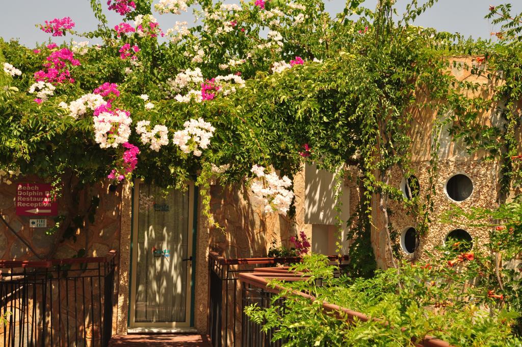 Siesta Beach Apartment Bodrum Esterno foto