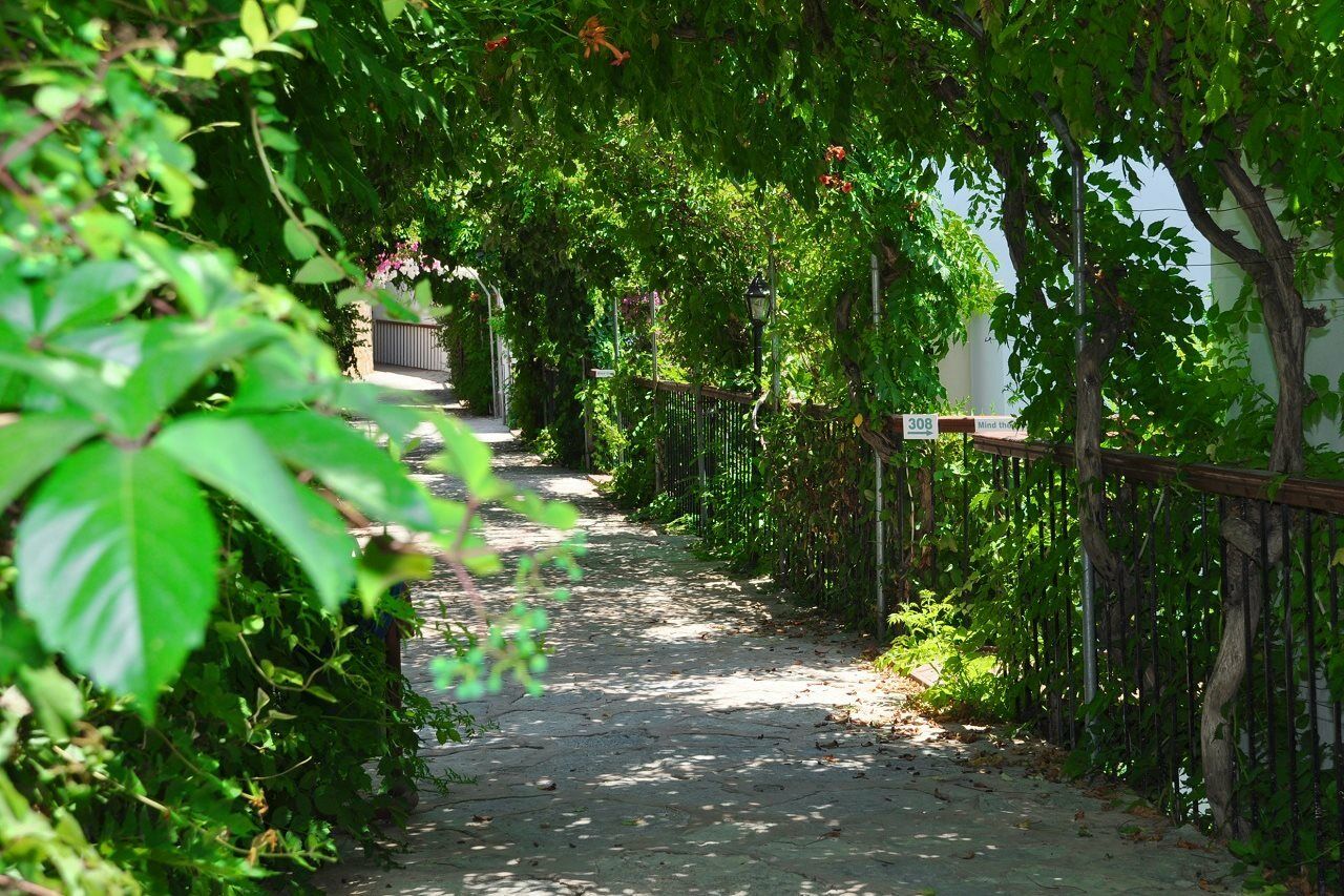 Siesta Beach Apartment Bodrum Esterno foto