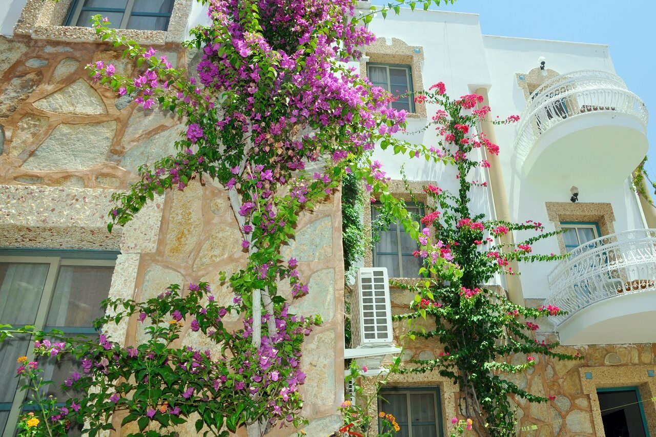 Siesta Beach Apartment Bodrum Esterno foto